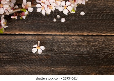 19,260 Cherry Blossom Top View Images, Stock Photos & Vectors 