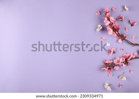 Flowering branch with a lot of pink blossoms. Rustic composition with spring flowers. Close up, copy space for text, top view, background.
