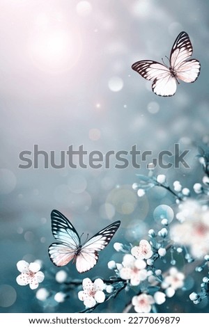 Flowering branches and petals on a blurred background and butterfly. Spring concept.