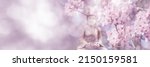 flowering cherry tree around buddha statue on sunny blurred spring background, idyllic nature scene in sunhine, web banner concept with copy space