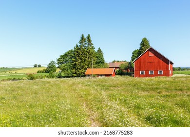Flowering meadow with a farm