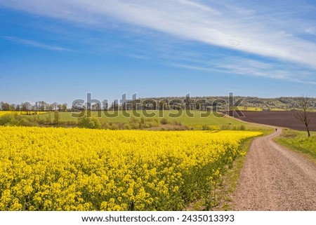 Similar – Image, Stock Photo Winding country road with dust cloud through the forest at sunrise. Spring landscape.