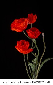 Cachorros jardín rojos floridos