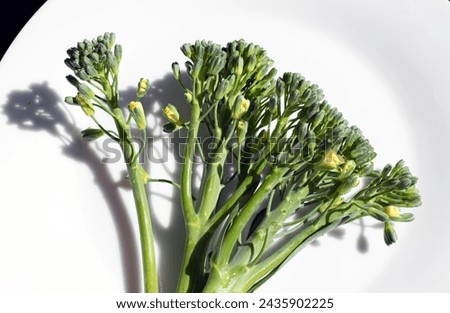 Flowering tenderstem broccoli on a white plate