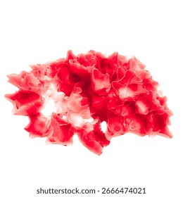 flowerp time - Red hydrangea