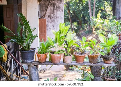 flowerpot