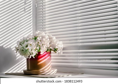 Flowerpot With Beautiful White Flowers Stands On Window Sill Modern Aluminum Shutter Background Close View