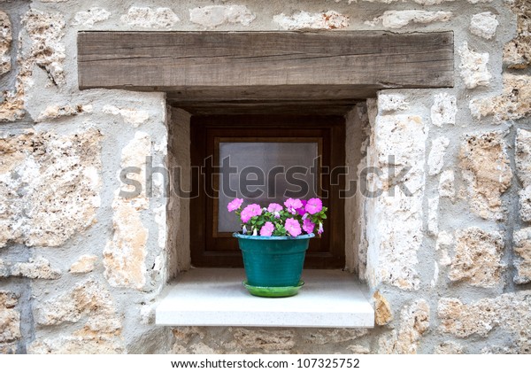 flowerpot with
flowers in the ledge of a
window