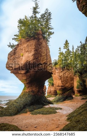 Flowerpot at low tide, Bay of Fundy, Hopewell Rocks Provincial Park, Hopewell Cape, New Brunswick, Canada. Photo taken in September 2023.