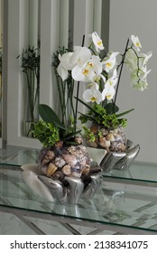 flowerpot with phalaenopsis flower Aphrodite white