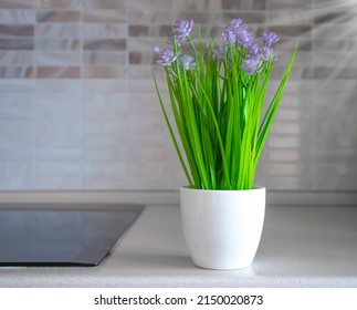 Flowerpot with plant kitchen interior