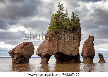 The flowerpot rock formations at Hopewell Rocks, Bay of Fundy, New Brunswick. The extreme tidal range of the bay makes them only accessible at low tide. 
