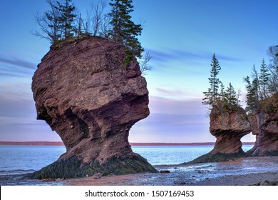 Flowerpots, Hopewell Rocks, New Brunswick, Canada                      