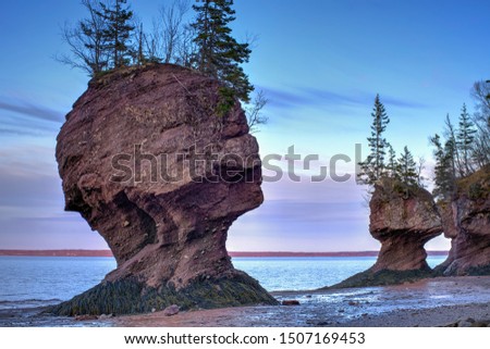 Flowerpots, Hopewell Rocks, New Brunswick, Canada                      