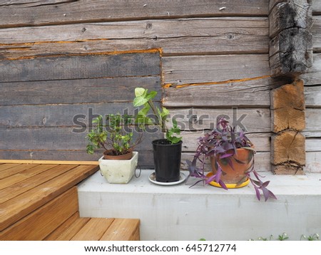Flowerpots left against an old log house wall in Latvian countryside. Vintage log houses are stylish countryside element in Baltic states.  