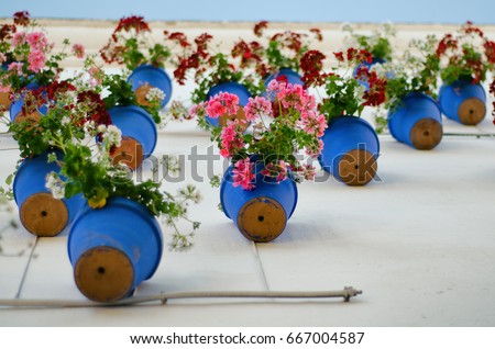 Flowerpots on a wall