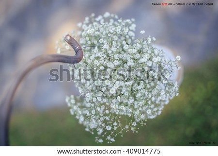 Similar – Foto Bild herbstlich(t) Natur