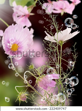 Similar – blossom dream II Plant Sky