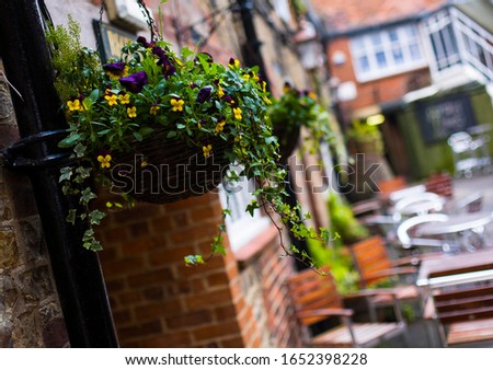 Flowers adorning the outside of a cafe in the county of Wiltshire, England, United Kingdom, Europe