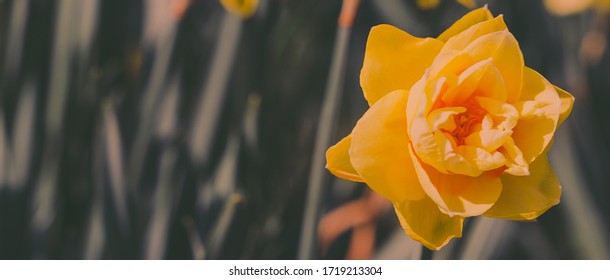 aesthetic background stock photos images photography shutterstock shutterstock