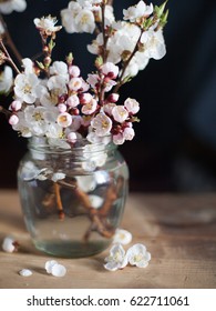 Flowers of apricot in a vase, spring bouquet