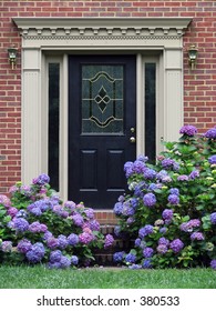 Flowers Around A Fancy Door