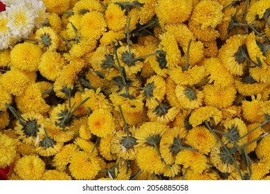 Flowers Arrived For Ayudha Pooja Festival Hindu Navarathri
