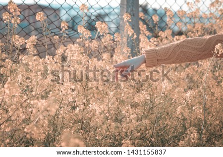 Flowers in the background, hands in the foreground. 