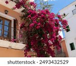 Flowers and balconies in the streets of Ibiza city