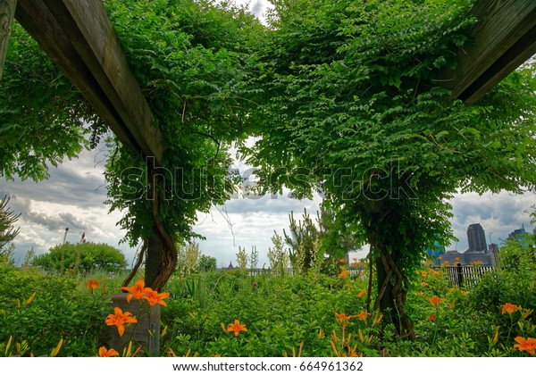 Flowers Battery Park Gardens Series Stock Photo Edit Now 664961362