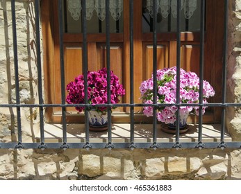 Flowers behind Wrought Iron Grill or bars on Window in Jaen, Andalusia