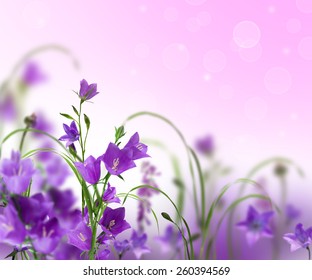 72,574 First day of spring Images, Stock Photos & Vectors | Shutterstock