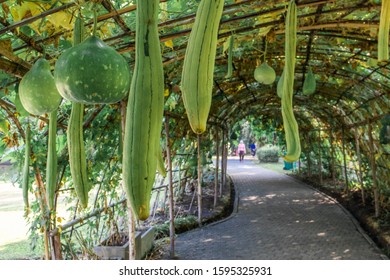 Tau Suan Images Stock Photos Vectors Shutterstock