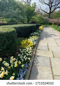 Flowers Blooming In Central Park Conservatory Garden