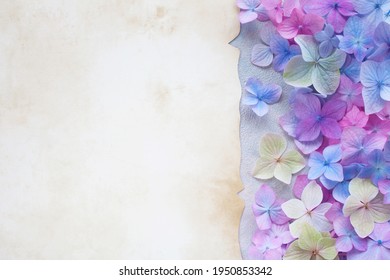 花 イラスト 紫陽花 の写真素材 画像 写真 Shutterstock