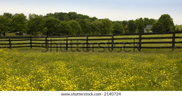 flowers border a
fence