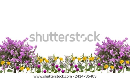 flowers bottom background with white background