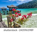 Flowers at Bunga Raya Island Resort, Gaya Island, Borneo, Malaysia