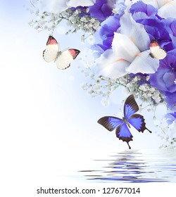 Butterfly On Purple Flower Images Stock Photos Vectors Shutterstock