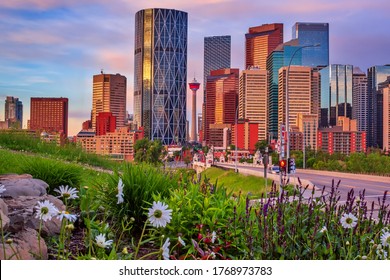 Flowers by the downtown Calgary skyline