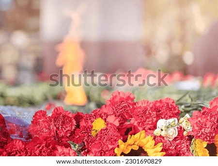 Flowers by the eternal Flame. High quality photo