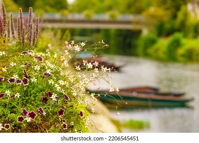 Flowers By River With Boats. Coulon Town In Deux Sevres, New Aquitaine Region, France