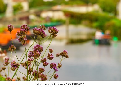 Flowers By River And Coulon Town In The Background. Deux Sevres, New Aquitaine Region, France