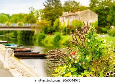 Flowers By River And Coulon Town In The Background. Deux Sevres, New Aquitaine Region, France