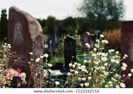 Flowers in the cemetery. Wildflowers on the graves. Orthodox Russian cemetery in the summer. Old burial places and gravestones.