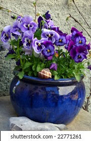 Flowers in the ceramic pot (violet pansy)