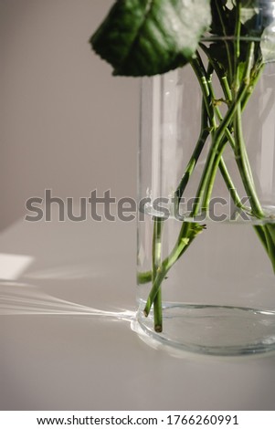 Similar – glass vase