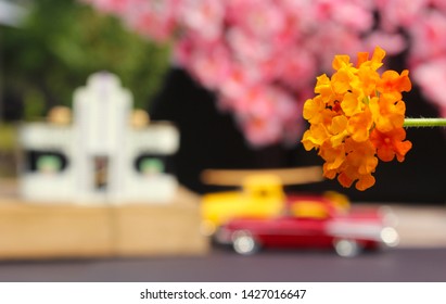 Flowers Closeup With Vintage Diner And Hot Rods In Background. Small Town Concept