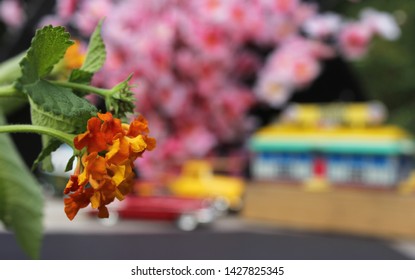 Flowers Closeup With Vintage Diner And Hot Rods In Background. Small Town Concept