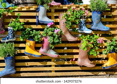 Flowers in colourfully wellingtons be use as pots